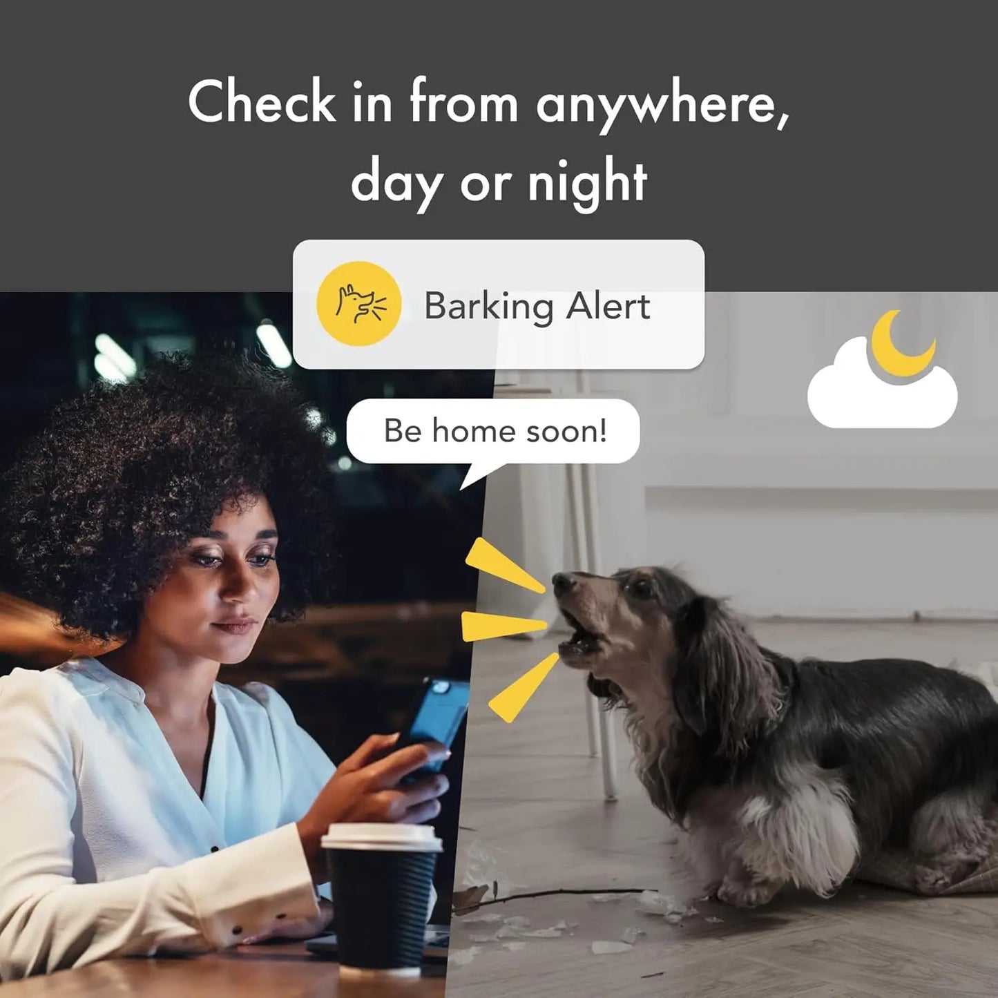 360° Dog Camera: Home Security Camera with Barking Alerts with Phone App