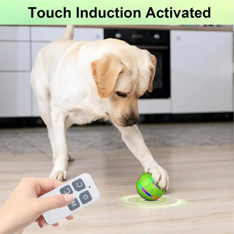 Remote Control Dog Ball Toy With Led Lights Rechargeable Remote Control Led Play