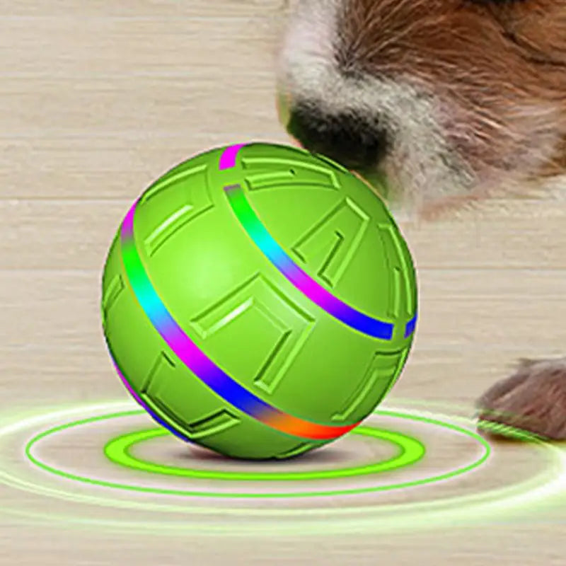 Remote Control Dog Ball Toy With Led Lights Rechargeable Remote Control Led Play