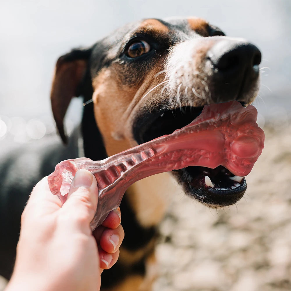 Aggressive Chewers Large Dogs Bone-Shaped Indestructible Nylon Teeth Cleaning