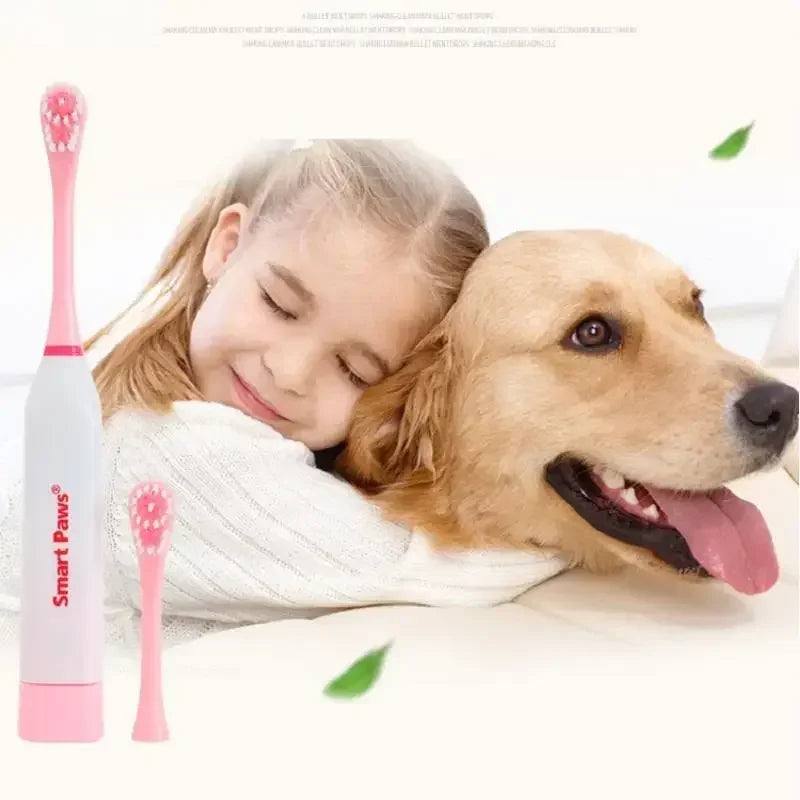 Electric Tooth Brush Cleaning Dogs Teeth for Oral Health