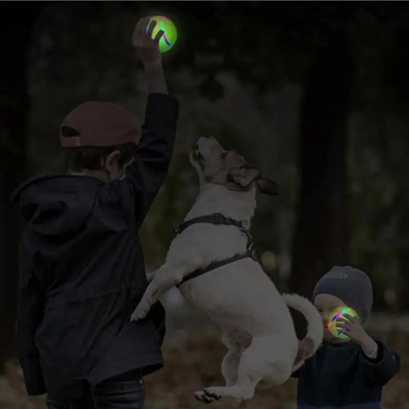 Remote Control Dog Ball Toy With Led Lights Rechargeable Remote Control Led Play