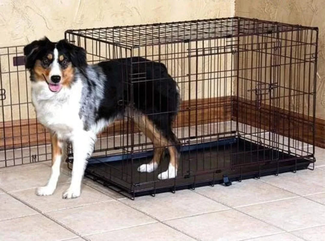 Two Door Great Crate Wire Crate 42 Inch For Pet 70-90 lbs With 5-Point Locking System Durable Heavy Duty Construction